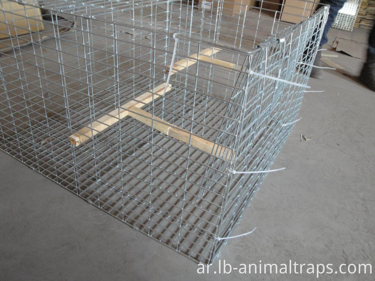 Humane Small Animal Traps